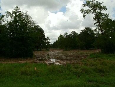 Land/Lot.