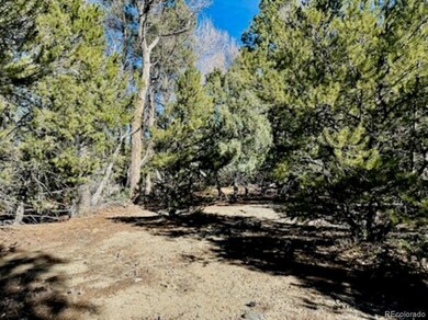Mixed trees: Juniper and Pinion and some Ponderosa trees.