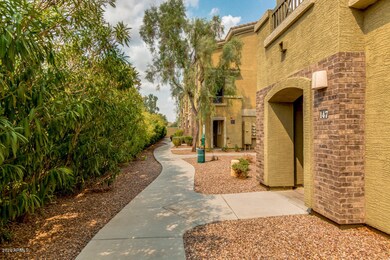 04-Cave Creek