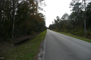 0 Old Deland Rd, Daytona Beach, FL 32124 - photo 2