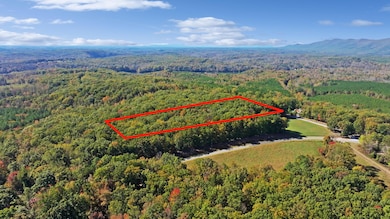 28 Leesville Lake Dr, Pittsville, VA 24139 - photo 2