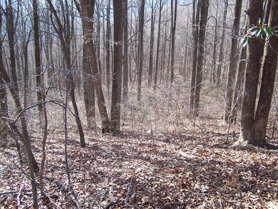 Large Timber