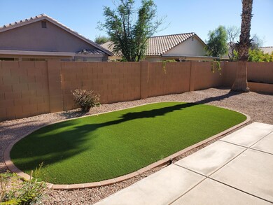 Back yard