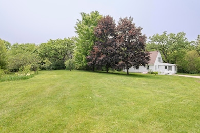Treed Yard
