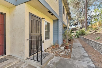 5875 Reo Terrace unit C, San Diego, CA 92139 - photo 6