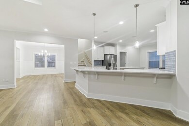 302 Murray Falls Ln, Chapin, SC 29036 - photo 6