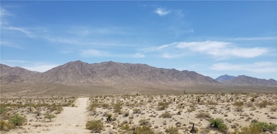 000 Bluepoint Dr, Meadview, AZ 86444 - photo 3