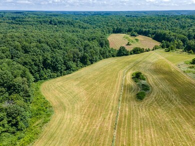 202 Weakley Loop, Ethridge, TN 38456 - photo 6