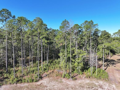 8311 N Coffee Rd, Hahira, GA - photo 4