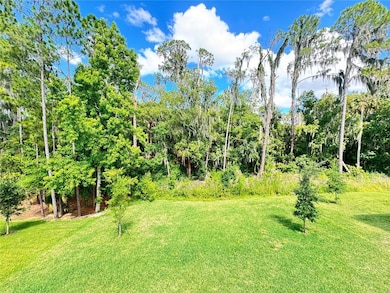 View from Backyard