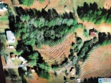 1030 Doss Dr unit SW COR SW 1/4, Morris, AL 35116 - photo 3