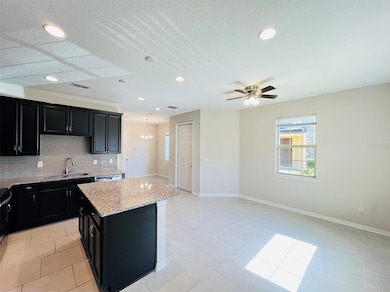 14320 Swanley St, Orlando, FL 32832 - photo 6