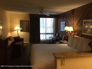 300 Carriage Way unit 106, Snowmass Village, CO 81615 - photo 3