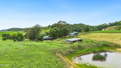 5-web-or-mls-DJI_0981