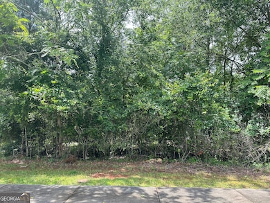 1361 Arborgate St, Madison, GA 30650 - photo 3