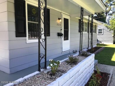 525 Henderson Dr, Jacksonville, NC 28540 - photo 4