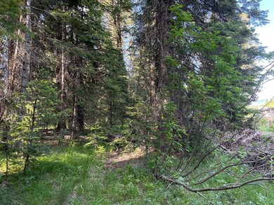 Close Access to Lake Cascade