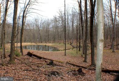 Lot 33 Beech Ln, Capon, WV 26801 - photo 7