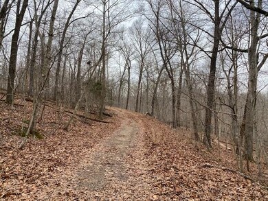 0 Devonshire (Lot 27) Ln unit 1172567, Bella Vista, AR 72715 - photo 5