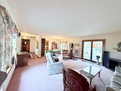 110 Chad St, Licking, MO 65542 - photo 6