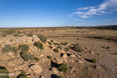 137 Acr 8461, Concho, AZ 85924 - photo 5