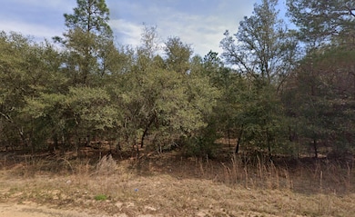 417 Theresa Ave, Interlachen, FL 32148 - photo 2