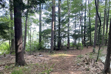 1957 Lake Dunmore Rd, Salisbury, VT 05769 - photo 6