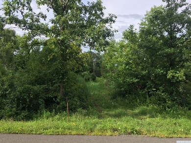 0 Roundtop #4 Rd, Germantown, NY 12526 - photo 5