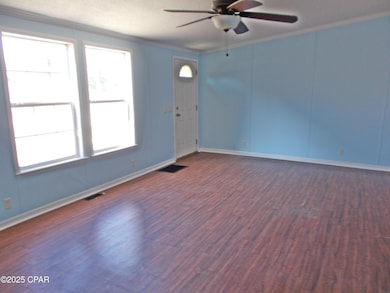 6905 Bateau Pond Rd, Grand Ridge, FL 32442 - photo 2