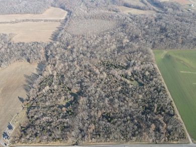 000 County Highway 7, Cisne, IL 62823 - photo 2