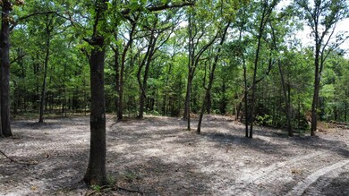 0 Wispy Trail unit 60308064, Shell Knob, MO 65747 - photo 5