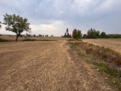 9924 S Wildcat Rd, Molalla, OR 97038 - photo 7