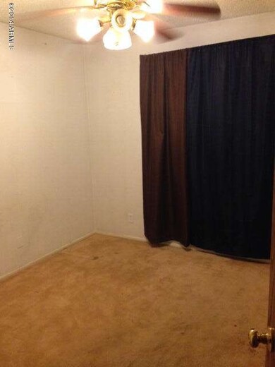 photo 1 (4)