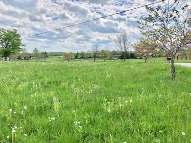 135 Tewmey Ln, Harrodsburg, KY 40330 - photo 3