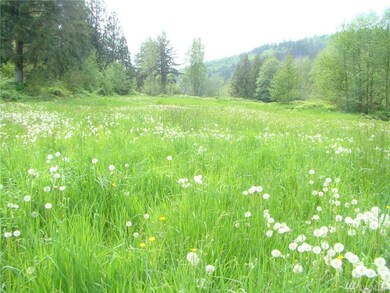 8364 Westergreen Rd, Sumas, WA 98295 - photo 4