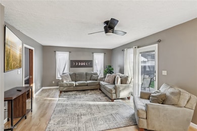 1699 Redwood Ave, Akron, OH 44301 - photo 5