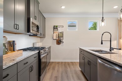 8809 Meadowvale Ct, Ooltewah, TN 37363 - photo 5