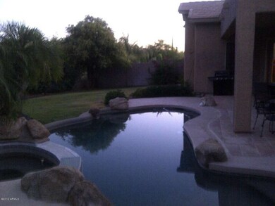 Back yard