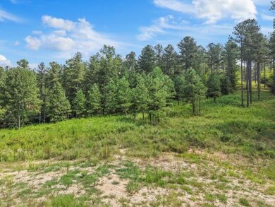 0 Birds Eye Way unit 1519255, Guild, TN 37340 - photo 6