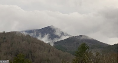 101 Falling Rock Rd, Blue Ridge, GA 30513 - photo 4