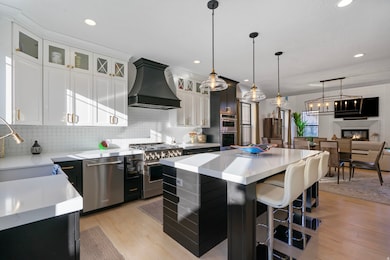 Kitchen featuring dark cabinetry, a kitchen island, custom exhaust hood, light wood finished floors, and stainless steel appliances