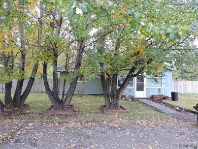 Mature Trees