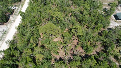 0 E Royal Oak Dr unit 372429, Perry, FL 32348 - photo 3