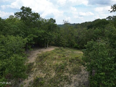 DJI_0557