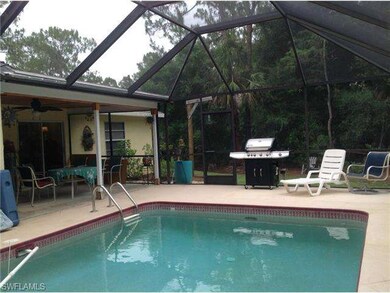 Pool and covered lanai