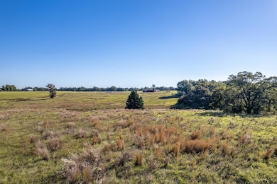 000 County Road 4331, Larue, TX 75770 - photo 4