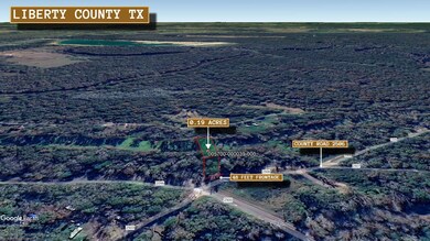 County Road 2506, Liberty, TX 77575 - photo 4