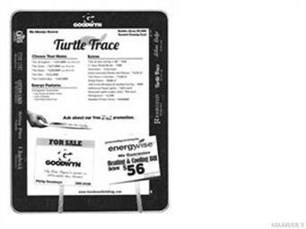 Turtle price list
