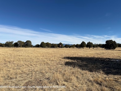102 Tiwa Trail, Alto, NM 88312 - photo 5