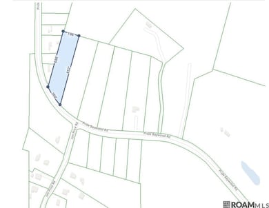 TBD Tract A Pride-Baywood Rd, Pride, LA 70770 - photo 2
